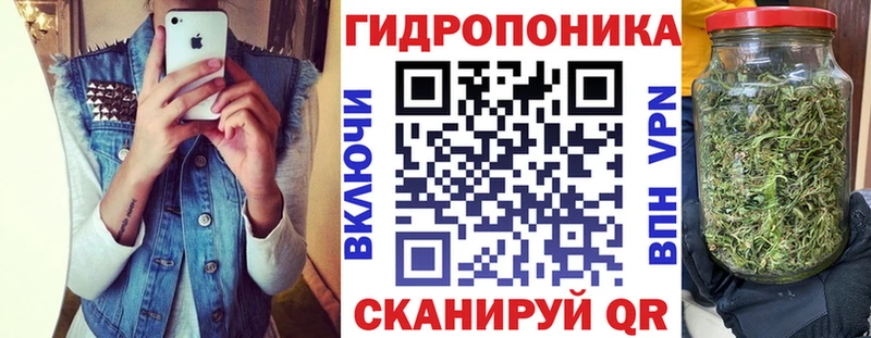 Каннабис сатива  Оханск 